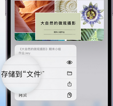 张店apple维修中心分享iPhone文件应用中存储和找到下载文件