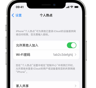 张店apple服务站点分享iPhone上个人热点丢失了怎么办 