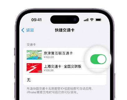 张店apple维修点分享iPhone上更换Apple Pay快捷交通卡手绘卡面 