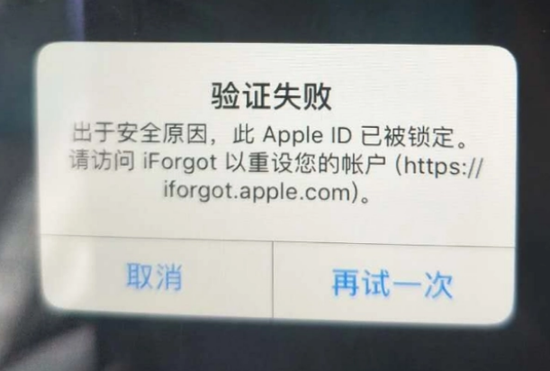 张店iPhone维修分享iPhone上正常登录或使用AppleID怎么办 