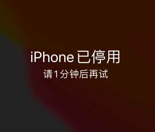 张店苹果手机维修分享:iPhone 显示“不可用”或“已停用”怎么办？还能保留数据吗？ 