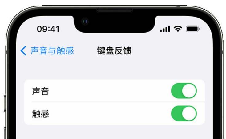 张店苹果手机维修分享iPhone 14触感键盘使用方法 