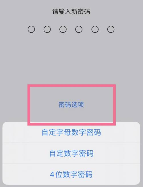 张店苹果14维修分享iPhone 14plus设置密码的方法 