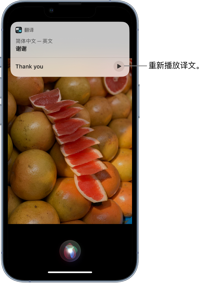 张店苹果14维修分享 iPhone 14 机型中使用 Siri：了解 Siri 能帮你做什么 