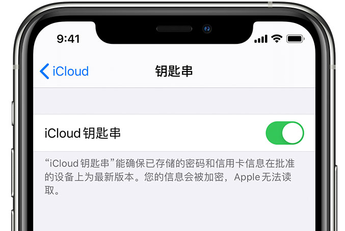 张店苹果手机维修分享在 iPhone 上开启 iCloud 钥匙串之后会储存哪些信息 