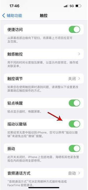 张店苹果手机维修分享iPhone手机如何设置摇一摇删除文字 