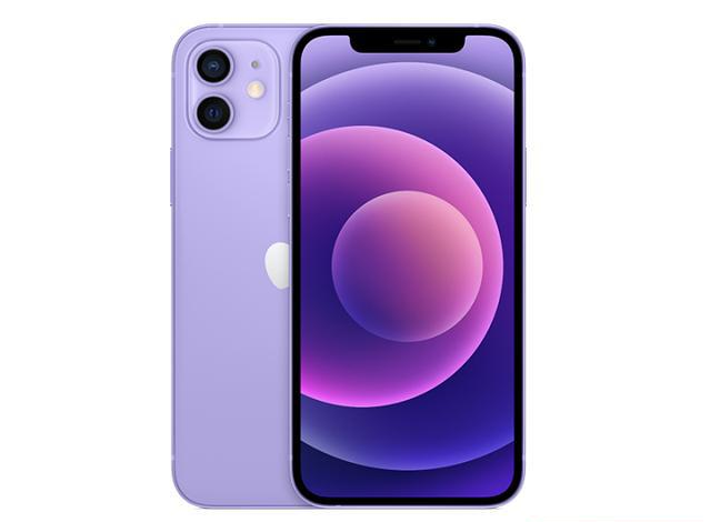 张店苹果手机维修分享现阶段要不要入手紫色版iPhone12 