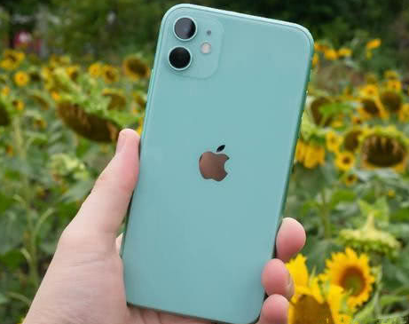 张店苹果维修点分享iPhone 11锁屏密码认知与使用科普 